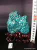Natural blue turquoise stone with redwood stand 221.6 grams
