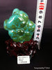 Natural blue turquoise stone with redwood stand 219.6 grams