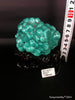 Natural blue turquoise stone with redwood stand 334.6 grams