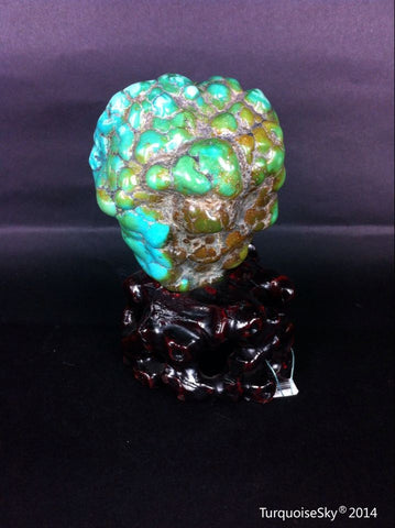 Natural blue turquoise stone with redwood stand 253.6 grams
