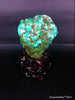 Natural blue turquoise stone with redwood stand 253.6 grams