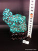 Natural blue turquoise stone with redwood stand 486.4grams