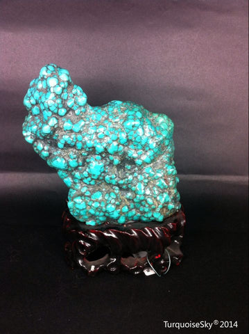 Natural blue turquoise stone with redwood stand 486.4grams