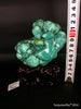 Natural blue turquoise stone with redwood stand 372.2 grams