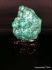 Natural blue turquoise stone with redwood stand 315.6 grams