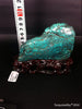 Natural blue turquoise stone with redwood stand 331.0 grams