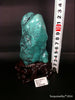 Natural blue turquoise stone with redwood stand 386.2 grams