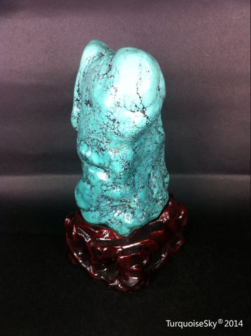 Natural blue turquoise stone with redwood stand 386.2 grams
