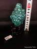 Natural blue turquoise stone with redwood stand 223.4 grams