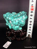 Natural blue turquoise stone with redwood stand 284.6 grams
