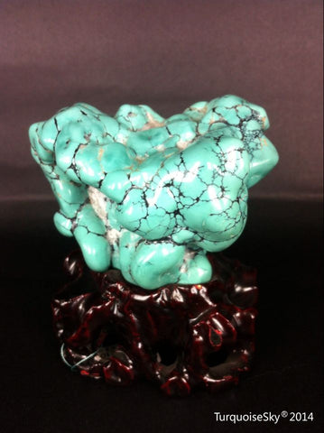 Natural blue turquoise stone with redwood stand 284.6 grams