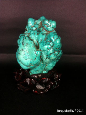 Natural blue turquoise stone with redwood stand 492.0 grams