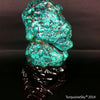 Natural blue turquoise stone with redwood stand 455.0 grams