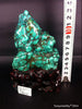 Natural blue turquoise stone with redwood stand 344.2grams