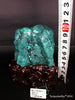 Natural blue turquoise stone with redwood stand 429.6 grams