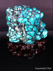 Natural blue turquoise stone with redwood stand 549.4 grams
