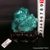 Natural blue turquoise stone with redwood stand 214.6 grams