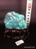 Natural blue turquoise stone with redwood stand 218.2 grams