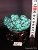 Natural blue turquoise stone with redwood stand 197.4 grams