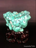 Natural blue turquoise stone with redwood stand 284.6 grams